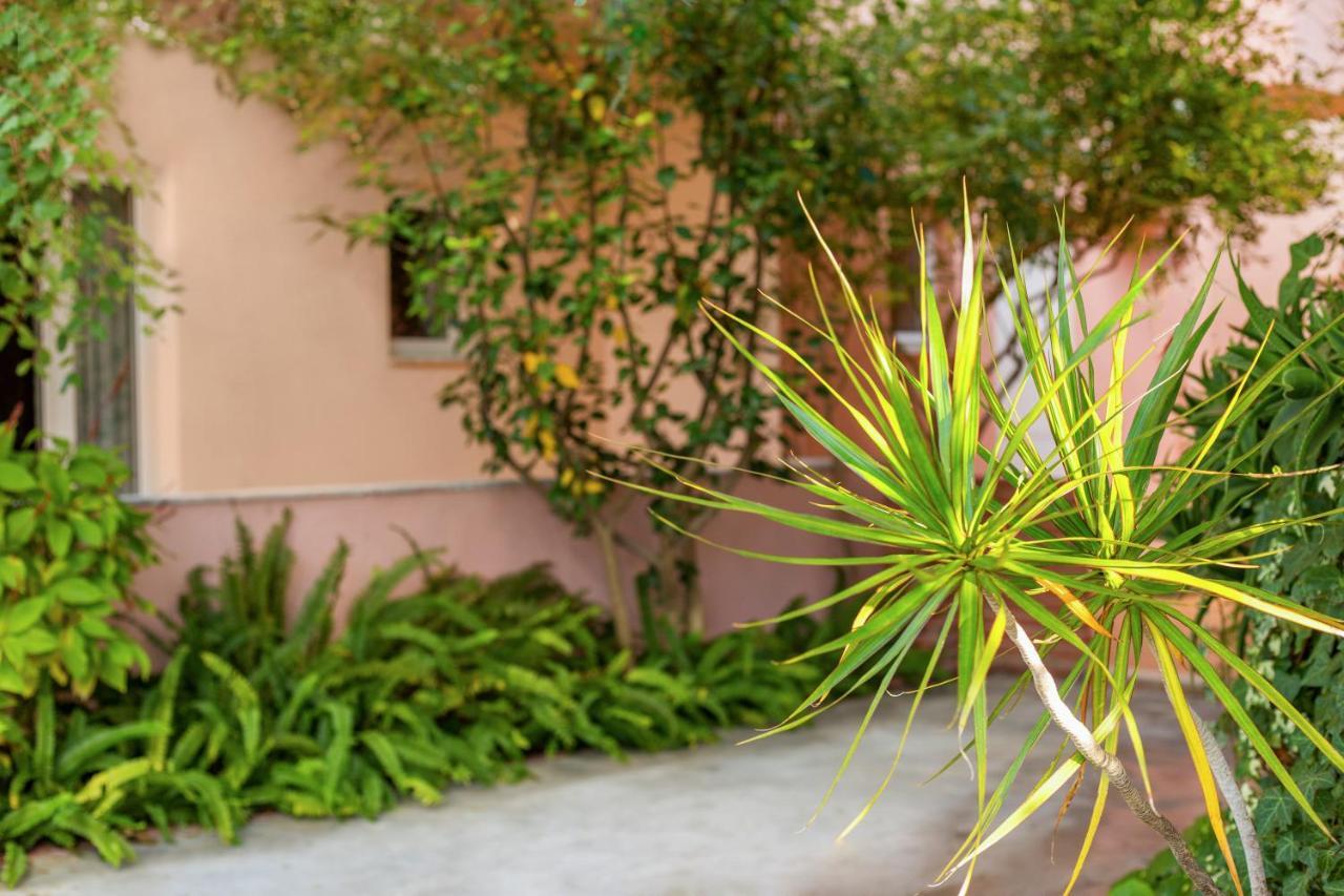 Aphrodite Studios & Apartment Bali  Exterior foto